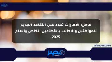 عاجل: الإمارات تحدد سن التقاعد الجديد للمواطنين والأجانب بالقطاعين الخاص والعام 2025